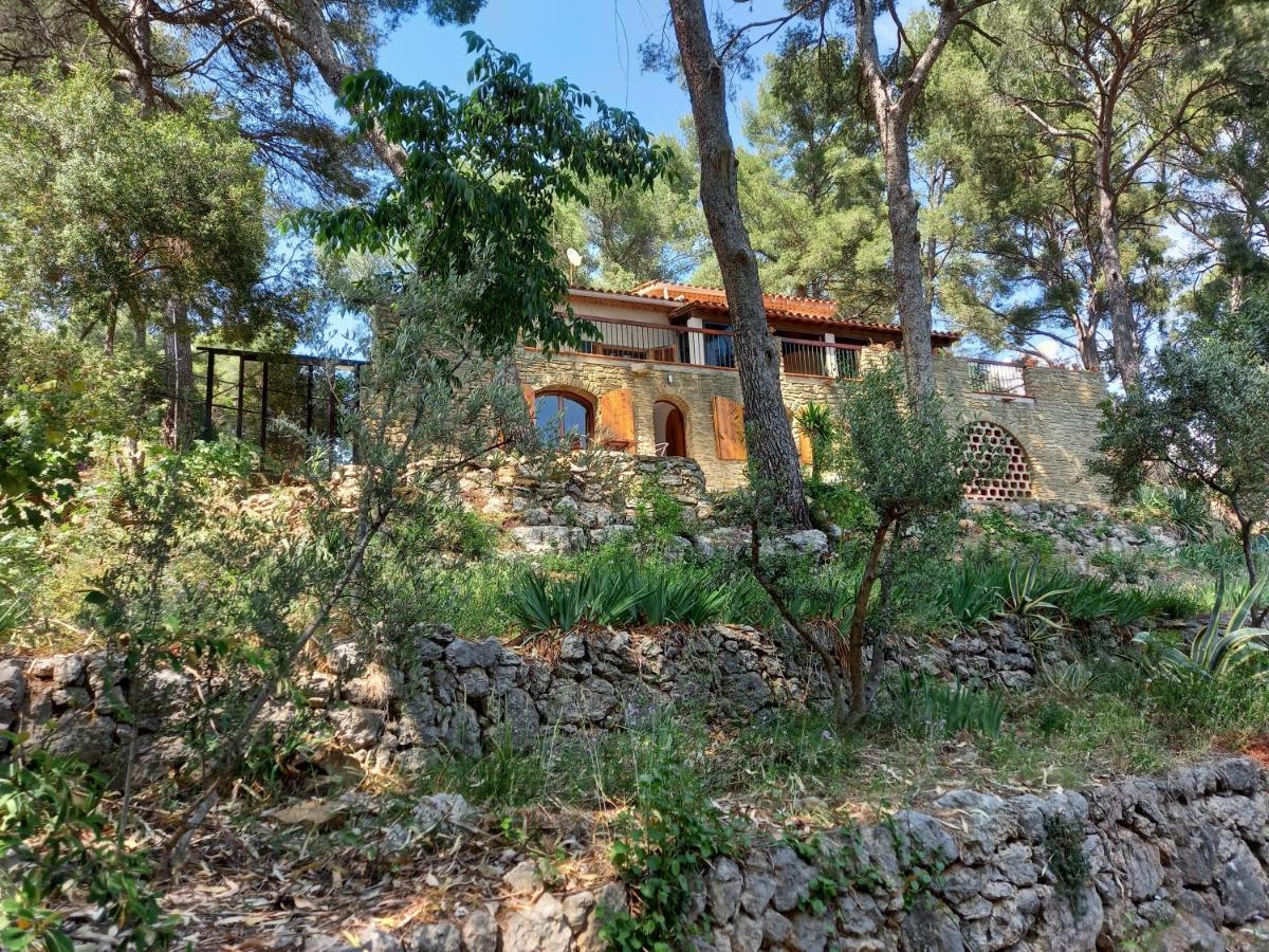 Les Pins Apartment Ле Кастеле Екстериор снимка